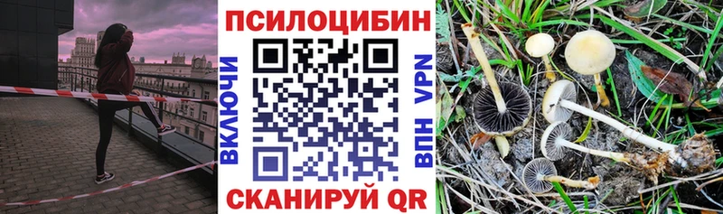 Галлюциногенные грибы GOLDEN TEACHER  закладки  Малаховка 